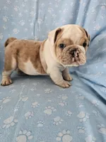 processed/3f4dff0d-75be-4ad0-8fba-c4e0303001b7/listing/5e949f1d-8cff-42b9-8a75-16ac42bc061c/86dfbe9b-f00d-4ae5-acdd-02468789754a