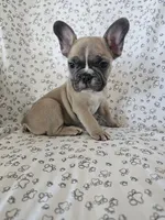 processed/3f4dff0d-75be-4ad0-8fba-c4e0303001b7/listing/c2d8f933-66e1-4ff4-b23f-75f42623013b/108d2b37-ff27-4ac5-9b3f-64f29b62f200