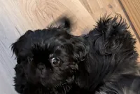 processed/3f561b11-2fce-4fa0-a5c4-cc897fdccb9d/listing/6b40fa3d-1d61-4922-9d72-3e09df951fea/e7d4b0e1-c0d5-4f63-82ae-4a73ea6fbb59