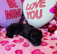 processed/3f5d368d-a225-48b2-9bac-dc5bdb091ceb/listing/02215e40-81a1-4fe9-9593-0f7895c09647/041fa660-f320-4941-81c7-ba9c32cb4eba