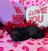 processed/3f5d368d-a225-48b2-9bac-dc5bdb091ceb/listing/02215e40-81a1-4fe9-9593-0f7895c09647/43fb52fd-ad28-42cc-bf90-8eb419940f0f