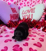 processed/3f5d368d-a225-48b2-9bac-dc5bdb091ceb/listing/02215e40-81a1-4fe9-9593-0f7895c09647/f41d21d7-7a00-4a85-969d-7f775bd65d17