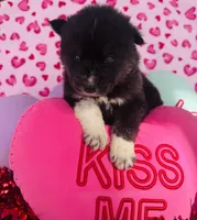 processed/3f5d368d-a225-48b2-9bac-dc5bdb091ceb/listing/0312be46-39d7-4c22-b2ba-a50779fe36ae/13311871-d2cd-42ca-aab7-c19758763d05