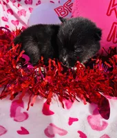 processed/3f5d368d-a225-48b2-9bac-dc5bdb091ceb/listing/0312be46-39d7-4c22-b2ba-a50779fe36ae/2492b393-1d0b-4bba-ab43-beb93aa9d52e