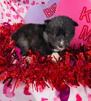 processed/3f5d368d-a225-48b2-9bac-dc5bdb091ceb/listing/0312be46-39d7-4c22-b2ba-a50779fe36ae/49d5b5a3-f8a0-4479-addf-956f71670810