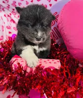 processed/3f5d368d-a225-48b2-9bac-dc5bdb091ceb/listing/0312be46-39d7-4c22-b2ba-a50779fe36ae/5dfa60df-71dd-4875-8ab8-7825d957050c