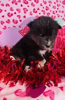 processed/3f5d368d-a225-48b2-9bac-dc5bdb091ceb/listing/0312be46-39d7-4c22-b2ba-a50779fe36ae/a56411e7-441b-46bc-b05a-6f48d977e9a4