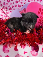 processed/3f5d368d-a225-48b2-9bac-dc5bdb091ceb/listing/0312be46-39d7-4c22-b2ba-a50779fe36ae/a6f94de9-d8ba-41c0-8aed-60f9f0fbedc2