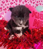 processed/3f5d368d-a225-48b2-9bac-dc5bdb091ceb/listing/0312be46-39d7-4c22-b2ba-a50779fe36ae/d2450364-4898-4409-89bf-1b36534e29cb