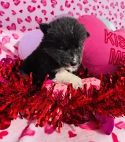 processed/3f5d368d-a225-48b2-9bac-dc5bdb091ceb/listing/0312be46-39d7-4c22-b2ba-a50779fe36ae/d6f1a2a7-cdd8-447c-b436-11fad4b155a5