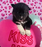 processed/3f5d368d-a225-48b2-9bac-dc5bdb091ceb/listing/0312be46-39d7-4c22-b2ba-a50779fe36ae/ea0d5c83-d2be-4e61-a959-5bfb99afc760