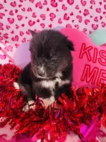 processed/3f5d368d-a225-48b2-9bac-dc5bdb091ceb/listing/0312be46-39d7-4c22-b2ba-a50779fe36ae/f8913cda-938c-4ab5-b2d2-d80961de0ddc