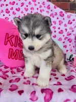 processed/3f5d368d-a225-48b2-9bac-dc5bdb091ceb/listing/2e8103c4-9475-44ed-a1d8-e1c6c0fb11bf/00409770-9876-4b53-b483-88b68e29a778