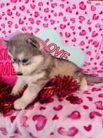 processed/3f5d368d-a225-48b2-9bac-dc5bdb091ceb/listing/2e8103c4-9475-44ed-a1d8-e1c6c0fb11bf/6ddb609a-dab9-4fc3-b3ab-93ebd59d2fbb