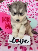 processed/3f5d368d-a225-48b2-9bac-dc5bdb091ceb/listing/2e8103c4-9475-44ed-a1d8-e1c6c0fb11bf/a35bdfb6-1859-484b-89c5-9abebb5d7c60