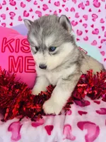 processed/3f5d368d-a225-48b2-9bac-dc5bdb091ceb/listing/2e8103c4-9475-44ed-a1d8-e1c6c0fb11bf/c19dab57-0d28-43f6-8f49-dc48baa47cff