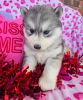 processed/3f5d368d-a225-48b2-9bac-dc5bdb091ceb/listing/2e8103c4-9475-44ed-a1d8-e1c6c0fb11bf/d3657491-c683-4757-9616-74595351b697