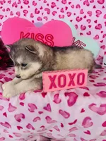 processed/3f5d368d-a225-48b2-9bac-dc5bdb091ceb/listing/2e8103c4-9475-44ed-a1d8-e1c6c0fb11bf/d991ad7e-e285-4501-966a-ba74c3d5f679