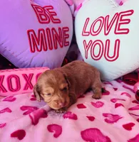 processed/3f5d368d-a225-48b2-9bac-dc5bdb091ceb/listing/2f63baa8-8dcc-4160-ad50-5c87632580b8/1070896e-5c83-4425-8c56-11051b372801