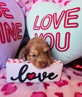 processed/3f5d368d-a225-48b2-9bac-dc5bdb091ceb/listing/2f63baa8-8dcc-4160-ad50-5c87632580b8/2e996f1e-2afb-474f-a706-82ceb69daca3