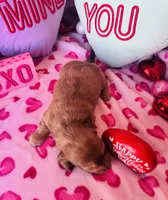 processed/3f5d368d-a225-48b2-9bac-dc5bdb091ceb/listing/2f63baa8-8dcc-4160-ad50-5c87632580b8/3c547b05-c96c-455d-9033-09c2757698ae