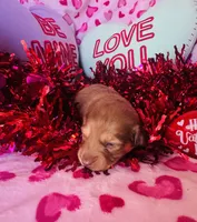 processed/3f5d368d-a225-48b2-9bac-dc5bdb091ceb/listing/2f63baa8-8dcc-4160-ad50-5c87632580b8/703130aa-fee2-4ee6-8659-ac93437574c9