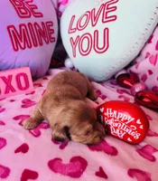 processed/3f5d368d-a225-48b2-9bac-dc5bdb091ceb/listing/2f63baa8-8dcc-4160-ad50-5c87632580b8/80c71202-4d14-4c30-b5ef-ae2c2c8a151a