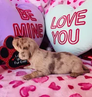 processed/3f5d368d-a225-48b2-9bac-dc5bdb091ceb/listing/2f63baa8-8dcc-4160-ad50-5c87632580b8/ec746581-ff31-40e6-8a8d-11849a2d1238