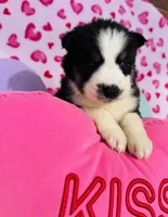 processed/3f5d368d-a225-48b2-9bac-dc5bdb091ceb/listing/3a30f0ab-d8b4-4f0c-832e-a139d744b19a/1cb97af2-d9e2-45c5-9011-433a08645e38