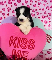 processed/3f5d368d-a225-48b2-9bac-dc5bdb091ceb/listing/3a30f0ab-d8b4-4f0c-832e-a139d744b19a/20bacd76-9326-48be-9d0c-6922fdd13ced