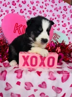 processed/3f5d368d-a225-48b2-9bac-dc5bdb091ceb/listing/3a30f0ab-d8b4-4f0c-832e-a139d744b19a/3e6ab96c-ae5c-4051-a34a-49e8d392f79c