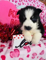 processed/3f5d368d-a225-48b2-9bac-dc5bdb091ceb/listing/3a30f0ab-d8b4-4f0c-832e-a139d744b19a/657bec58-51a7-4017-861a-2b25c3088fd6