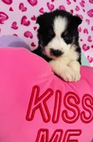 processed/3f5d368d-a225-48b2-9bac-dc5bdb091ceb/listing/3a30f0ab-d8b4-4f0c-832e-a139d744b19a/6d779208-2fcc-4c32-b83d-218e45b843a1