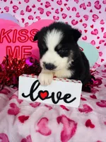 processed/3f5d368d-a225-48b2-9bac-dc5bdb091ceb/listing/3a30f0ab-d8b4-4f0c-832e-a139d744b19a/7888cdf8-908c-46fa-95bf-b481a82d9665