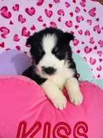 processed/3f5d368d-a225-48b2-9bac-dc5bdb091ceb/listing/3a30f0ab-d8b4-4f0c-832e-a139d744b19a/8dfaa637-8c69-424d-883f-27fb52481616