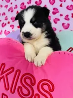 processed/3f5d368d-a225-48b2-9bac-dc5bdb091ceb/listing/3a30f0ab-d8b4-4f0c-832e-a139d744b19a/bdb3d33f-26aa-4d03-b480-9fd96b016dc2