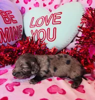 processed/3f5d368d-a225-48b2-9bac-dc5bdb091ceb/listing/73bd79ed-c644-4e29-9d4a-9728d85725bf/18fe91d3-4ef5-4c5f-a561-17c8fbd1ff83