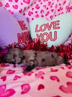 processed/3f5d368d-a225-48b2-9bac-dc5bdb091ceb/listing/73bd79ed-c644-4e29-9d4a-9728d85725bf/2499beb3-00dd-4f9c-a59e-6bd73514bbe1