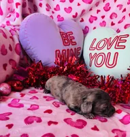 processed/3f5d368d-a225-48b2-9bac-dc5bdb091ceb/listing/73bd79ed-c644-4e29-9d4a-9728d85725bf/24d027d7-437c-4ae9-82b3-ffbd022c1627