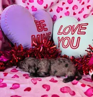 processed/3f5d368d-a225-48b2-9bac-dc5bdb091ceb/listing/73bd79ed-c644-4e29-9d4a-9728d85725bf/2d60c888-a0ba-45d5-8547-20954c59f6b5