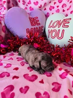 processed/3f5d368d-a225-48b2-9bac-dc5bdb091ceb/listing/73bd79ed-c644-4e29-9d4a-9728d85725bf/3e8733ef-0a71-4601-863e-f5bec2bf6066