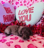 processed/3f5d368d-a225-48b2-9bac-dc5bdb091ceb/listing/73bd79ed-c644-4e29-9d4a-9728d85725bf/8edc076a-9628-4b96-8ff3-e2f4fe01172c