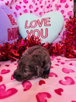 processed/3f5d368d-a225-48b2-9bac-dc5bdb091ceb/listing/73bd79ed-c644-4e29-9d4a-9728d85725bf/a58f6063-1fa3-4a35-8f6a-443c9f38ff22