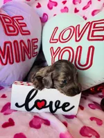 processed/3f5d368d-a225-48b2-9bac-dc5bdb091ceb/listing/73bd79ed-c644-4e29-9d4a-9728d85725bf/d6ac24e4-fcfb-4360-805a-23a9384ca139