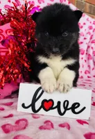 processed/3f5d368d-a225-48b2-9bac-dc5bdb091ceb/listing/e6d186f7-8997-4ddc-8ea2-4a639f624da1/1e9e8ee4-f520-469a-b426-5731671021f2