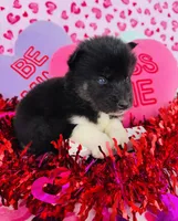 processed/3f5d368d-a225-48b2-9bac-dc5bdb091ceb/listing/e6d186f7-8997-4ddc-8ea2-4a639f624da1/247c6ce9-2c0e-4a47-a9a4-d9521df2f2d1