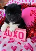 processed/3f5d368d-a225-48b2-9bac-dc5bdb091ceb/listing/e6d186f7-8997-4ddc-8ea2-4a639f624da1/50f06dd2-2617-4e3e-afbf-fda7945434a0