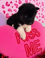 processed/3f5d368d-a225-48b2-9bac-dc5bdb091ceb/listing/e6d186f7-8997-4ddc-8ea2-4a639f624da1/7c736316-02a5-4374-a571-b85aa41af5db