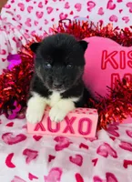 processed/3f5d368d-a225-48b2-9bac-dc5bdb091ceb/listing/e6d186f7-8997-4ddc-8ea2-4a639f624da1/a093db05-274d-4d3f-8b8d-584ec3084e33