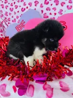 processed/3f5d368d-a225-48b2-9bac-dc5bdb091ceb/listing/e6d186f7-8997-4ddc-8ea2-4a639f624da1/dc44fe8c-17d4-4d8c-add1-5f53bd6f0478